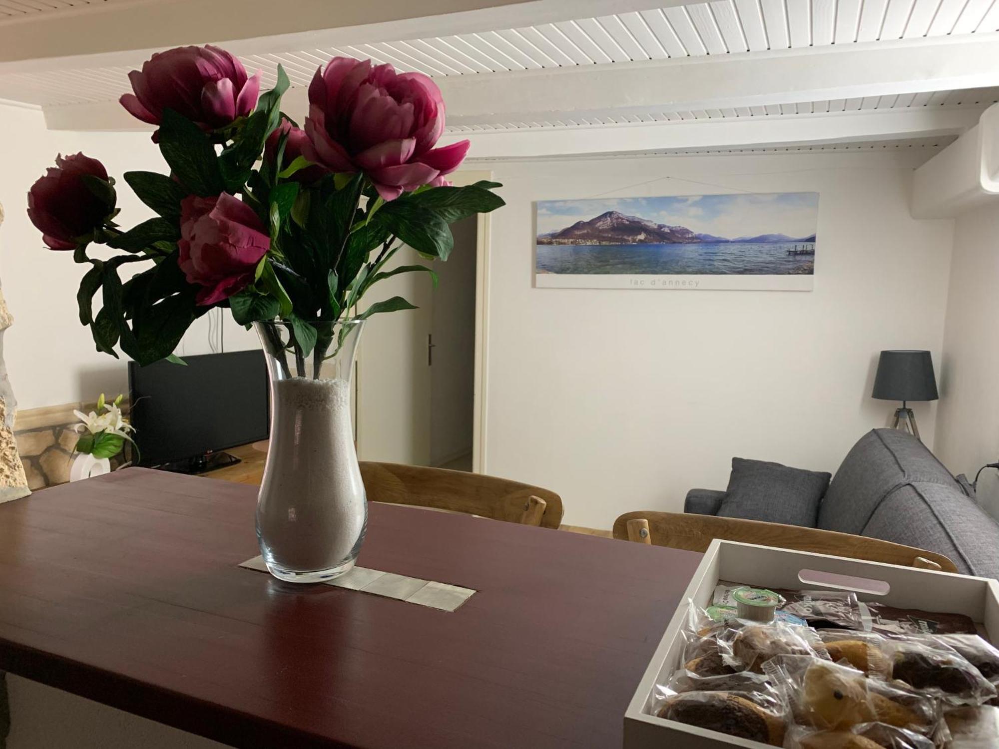 Annecy Sainte Claire Vieille Ville 38M2 Terrasse Proche Gare Et Lac 4 Pers 3 Etoiles エクステリア 写真